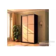 Шкаф-купе Де-Люкс-1 двухдверный (Мэри-мебель)