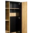 Неаполь Шкаф двухстворчатый (Черный / Дуб Золотой)