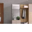 Модульная прихожая Фиджи (Дуб Золотой / Кашмир)