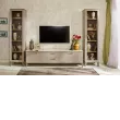 Библиотека Palmari P1200