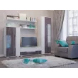 Шкаф Дали НМ 013.52-01
