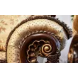 Мягкая мебель Лорд (Арида Мебель)
