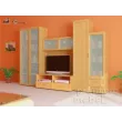Модульная программа Береста