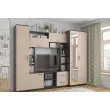 Гостиная Гамма-16 Модульная