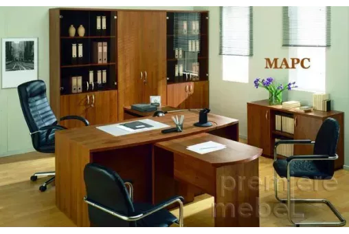 Кабинет руководителя МАРС
