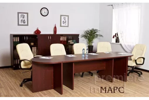 Кабинет руководителя МАРС