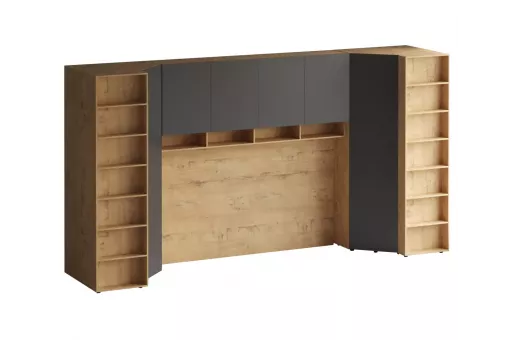Композиция Modus 65