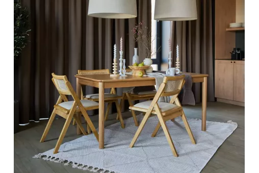 Стул складной Logan