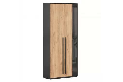 Неаполь Шкаф двухстворчатый (Черный/Дуб Золотой)