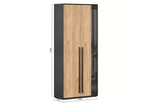 Неаполь Шкаф двухстворчатый (Черный/Дуб Золотой)
