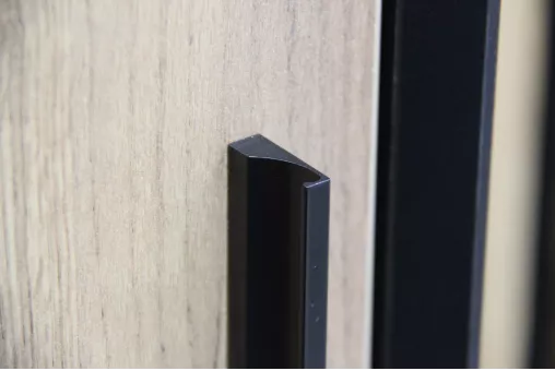 Неаполь Шкаф двухстворчатый (Черный/Дуб Золотой)